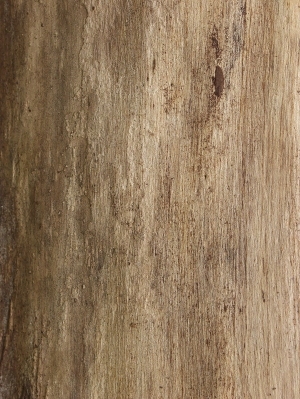 残旧木树皮贴图-ID:5820978