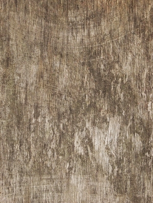 残旧木树皮贴图-ID:5820982