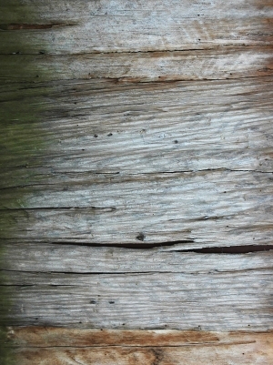 残旧木树皮贴图-ID:5820984