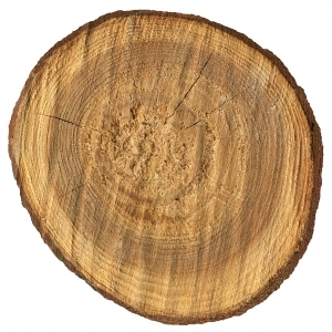 残旧木树皮贴图-ID:5820990