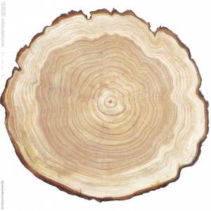 残旧木树皮贴图-ID:5820992