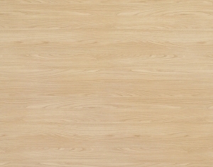 ModernWood Texture