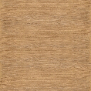 ModernWood Texture