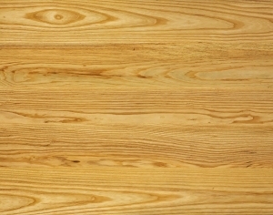 ModernWood Texture