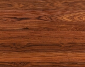 ModernWood Texture