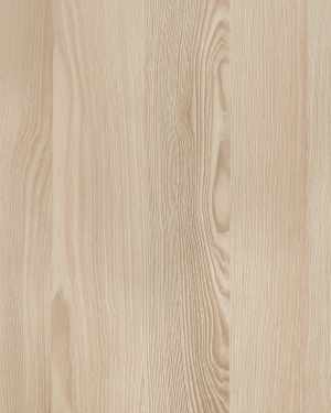 ModernWood Texture