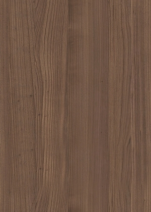 ModernWood Texture