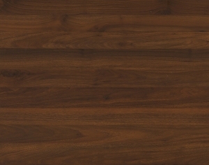 ModernWood Texture