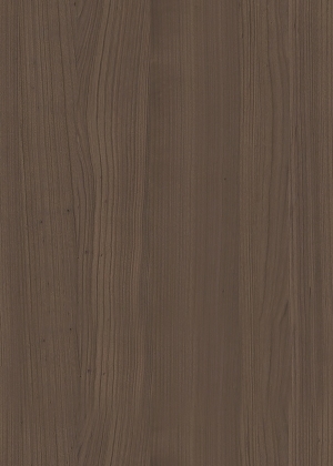 ModernWood Texture