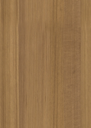 ModernWood Texture