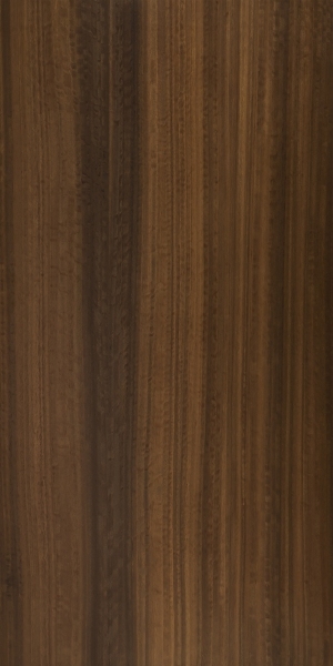 ModernWood Texture