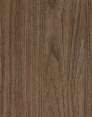 ModernWood Texture