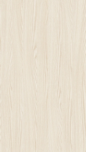 ModernWood Texture