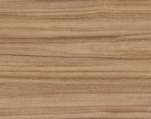 ModernWood Texture