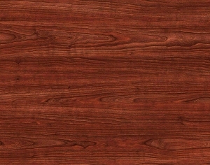 ModernWood Texture