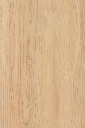 ModernWood Texture