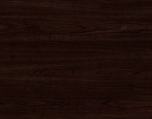 ModernWood Texture