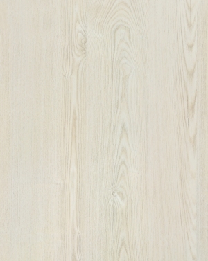 ModernWood Texture