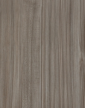 ModernWood Texture