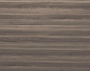 ModernWood Texture