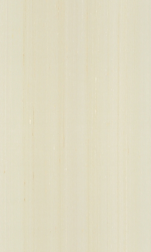 ModernWood Texture