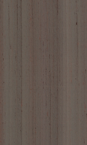 ModernWood Texture