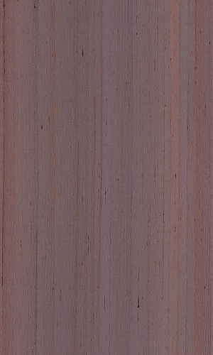 ModernWood Texture