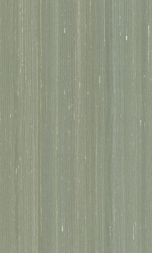 ModernWood Texture