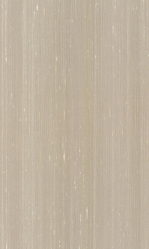 ModernWood Texture