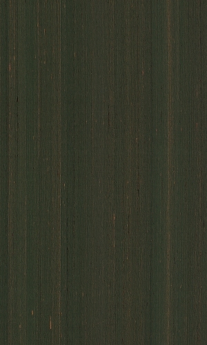 ModernWood Texture