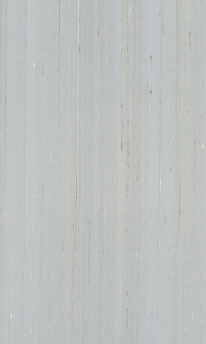 ModernWood Texture