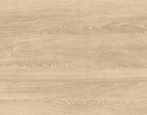 ModernWood Texture