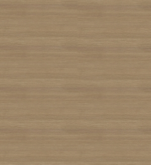 ModernWood Texture