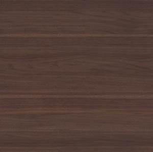 ModernWood Texture