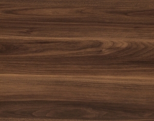 ModernWood Texture