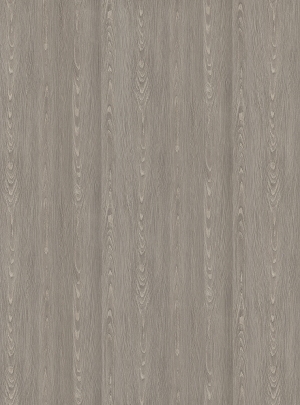 ModernWood Texture