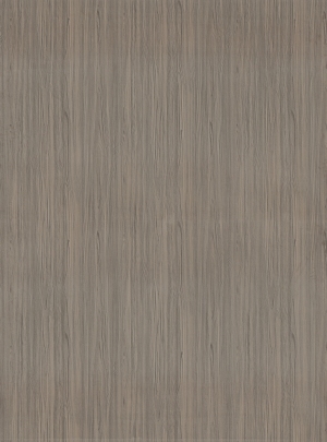 ModernWood Texture