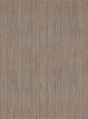 ModernWood Texture