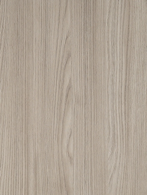 ModernWood Texture