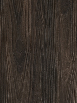 ModernWood Texture