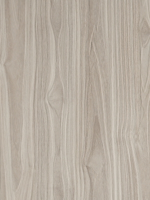 ModernWood Texture