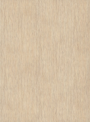 ModernWood Texture