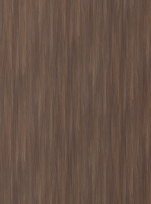 ModernWood Texture