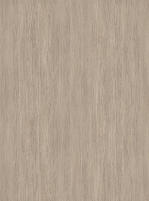 ModernWood Texture