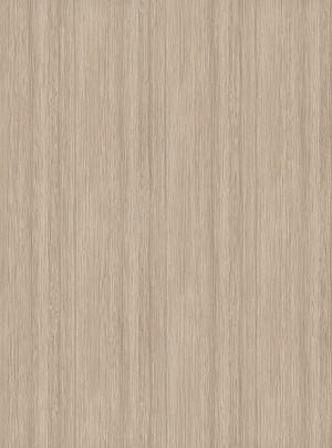 ModernWood Texture