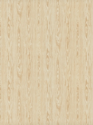 ModernWood Texture