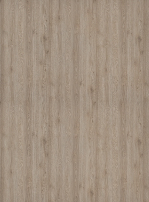 ModernWood Texture