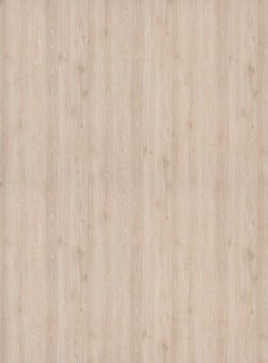 ModernWood Texture