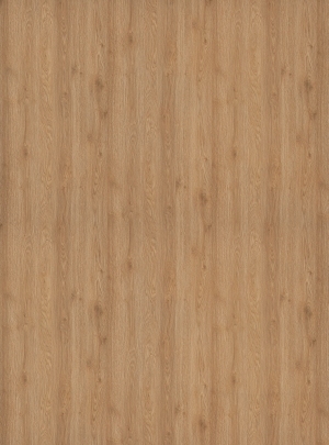 ModernWood Texture