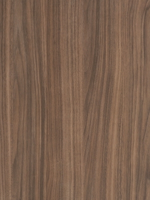 ModernWood Texture